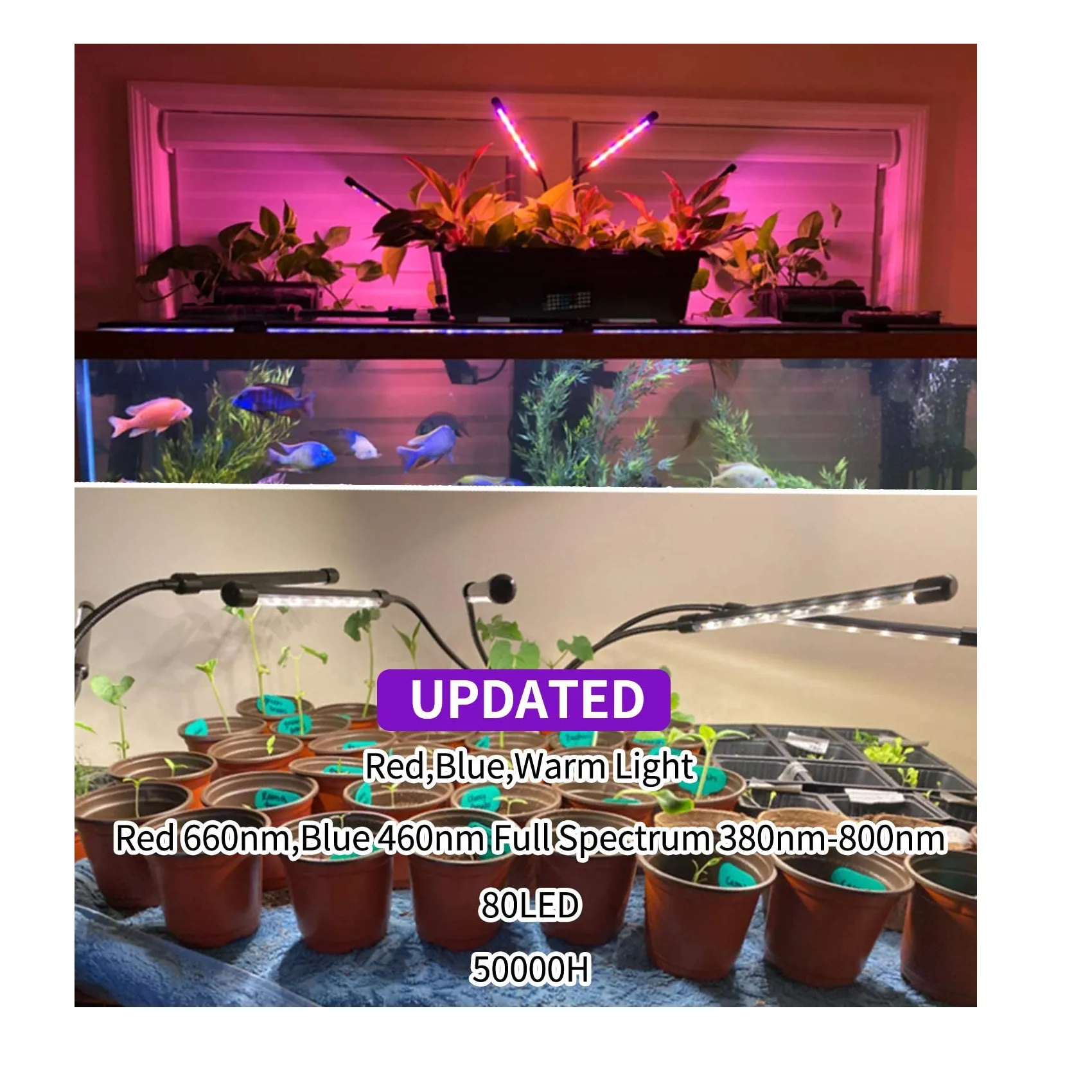 LEOTER Grow Light for Indoor Plants | Upgraded Version 80 LED Lamps with Full Spectrum & Red Blue Spectrum