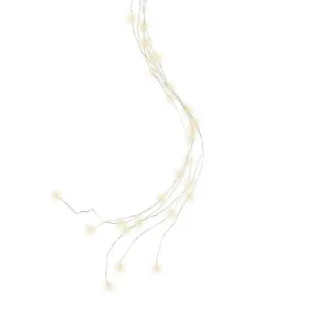 Lumineo 60 Warm White Micro LED Battery Operated Bunch Lights (80cm)