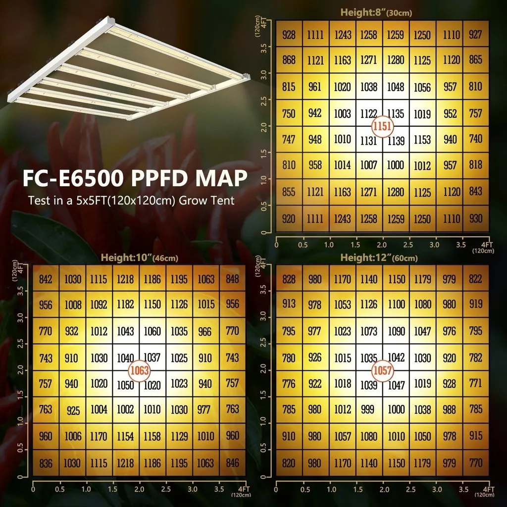 Mars Hydro LED FC-E 6500
