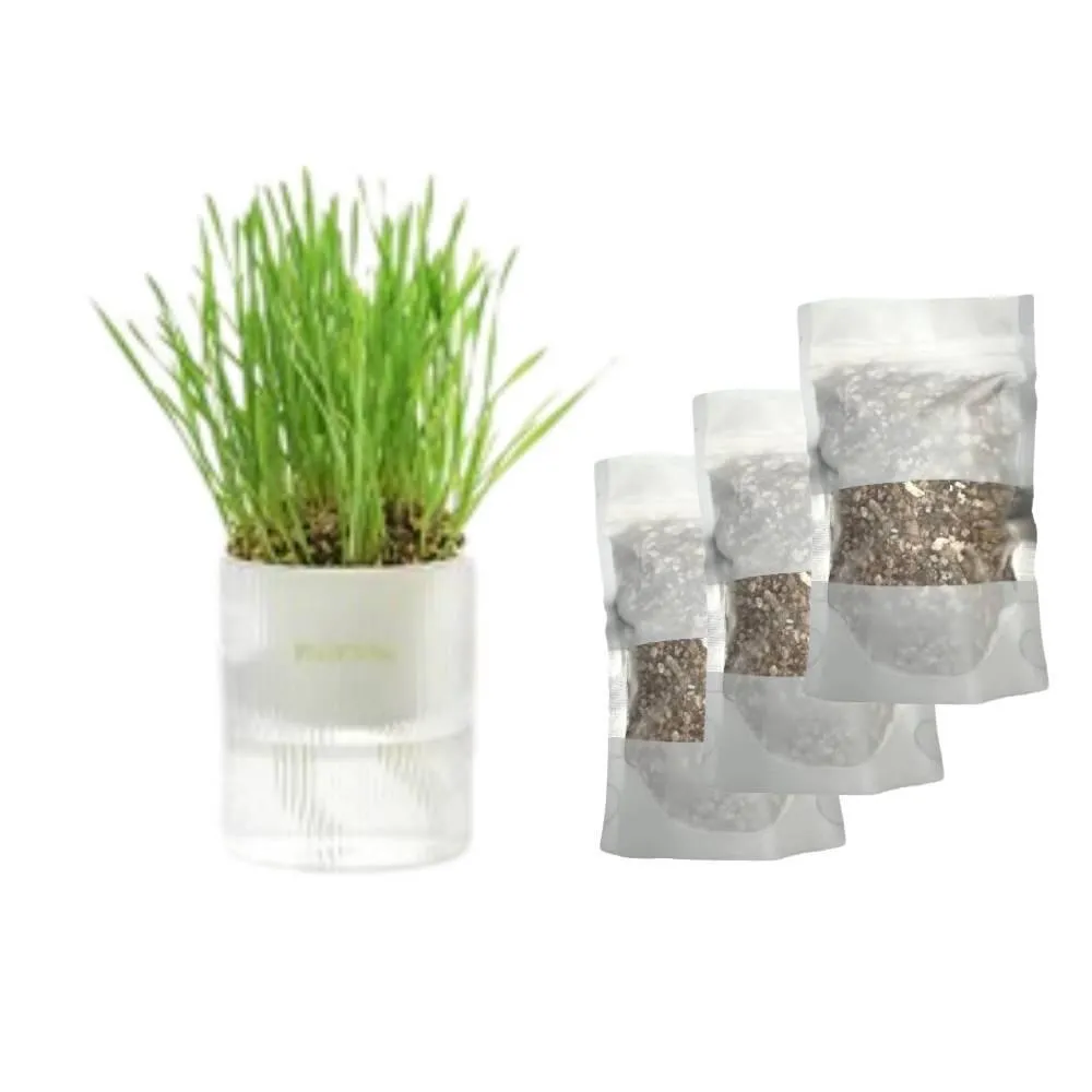 MICHU All-in-One Soil-Free Cat Grass Grow Kit with Australian Seed and Mulch, Made in Australia