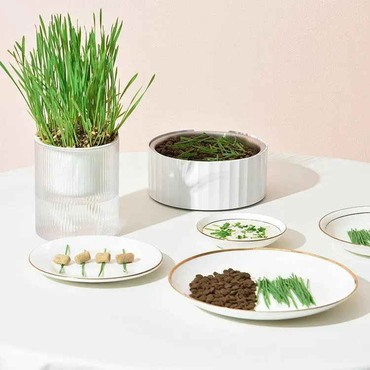 MICHU All-in-One Soil-Free Cat Grass Grow Kit with Australian Seed and Mulch, Made in Australia