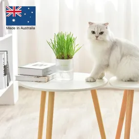 MICHU All-in-One Soil-Free Cat Grass Grow Kit with Australian Seed and Mulch, Made in Australia