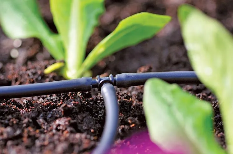 Micro Tee Connector 4mm - 10 Pack