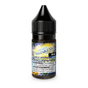 Mirage Salt Nic - Twelve Monkeys Salts - 30mL