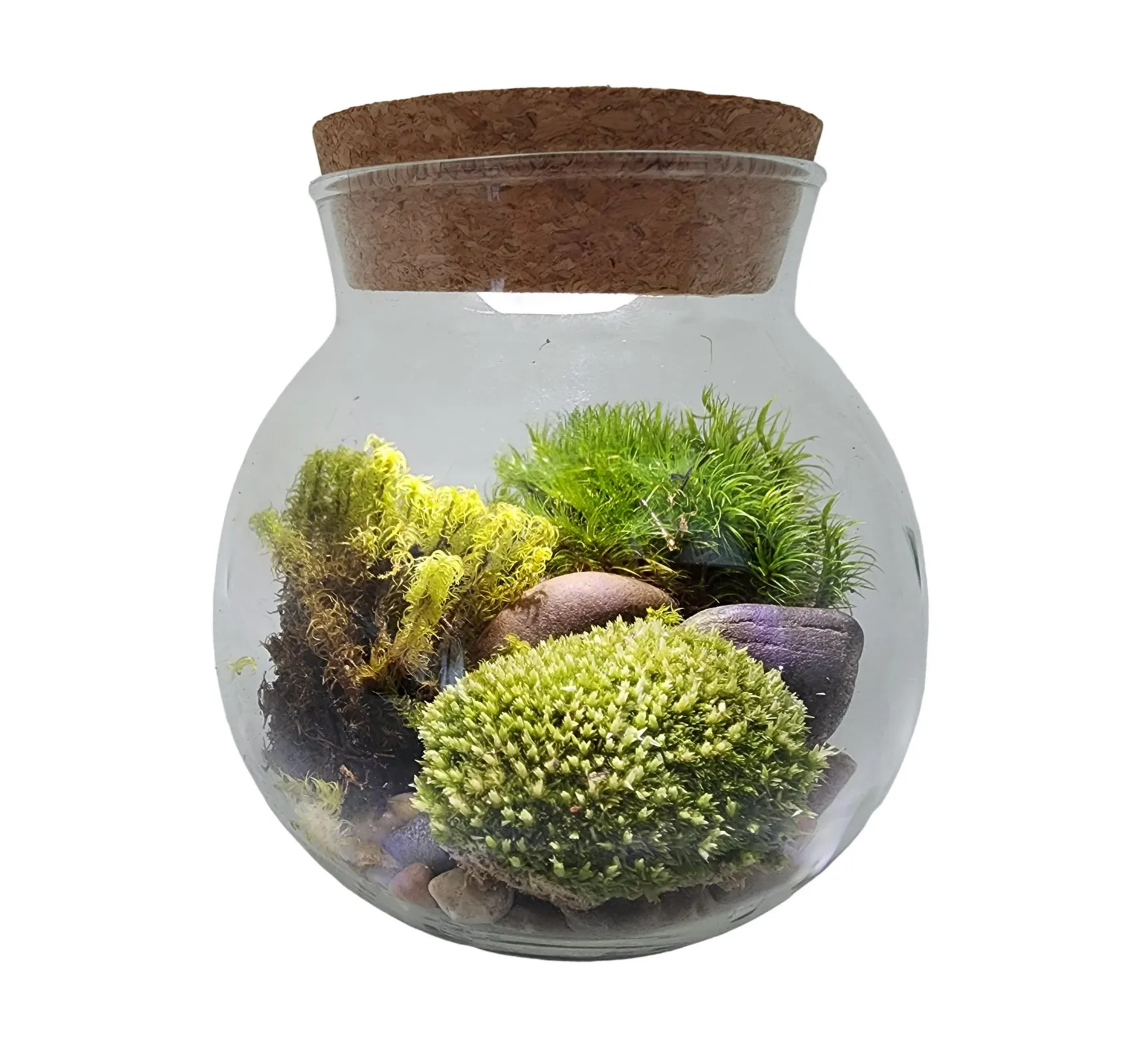 Moss Bowl