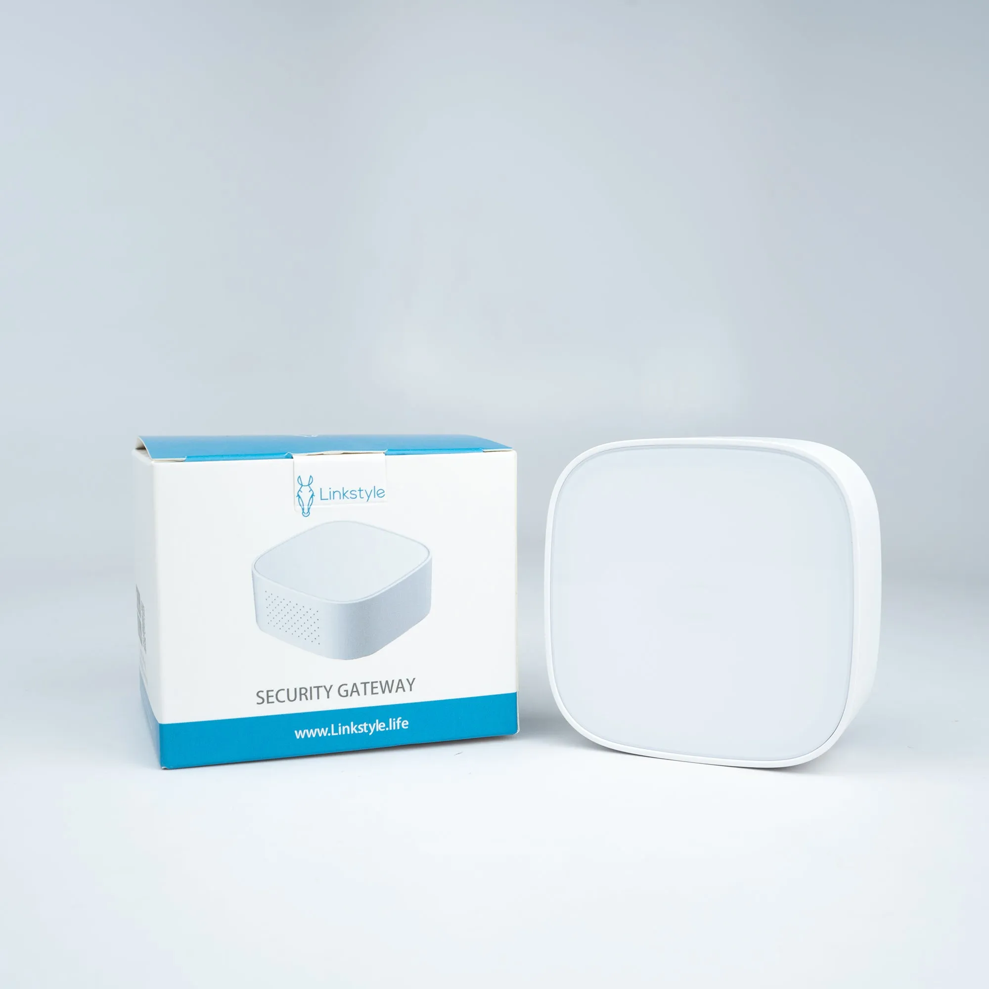 Multi-Function Smart Security Gateway