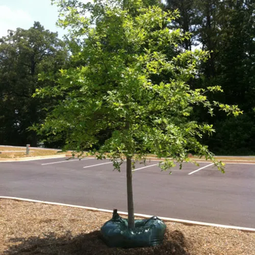 Ooze Tube Drip Irrigation Tree Watering Bag - 25 Gallon