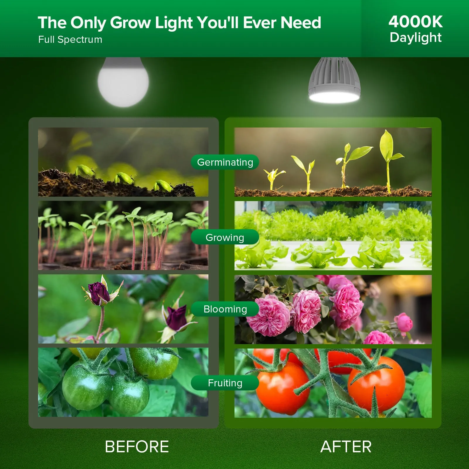 PAR25 32W LED Grow Light Bulb (US ONLY)
