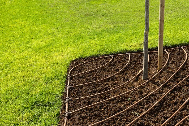 PC Drip Line 50 Metre - Long Run