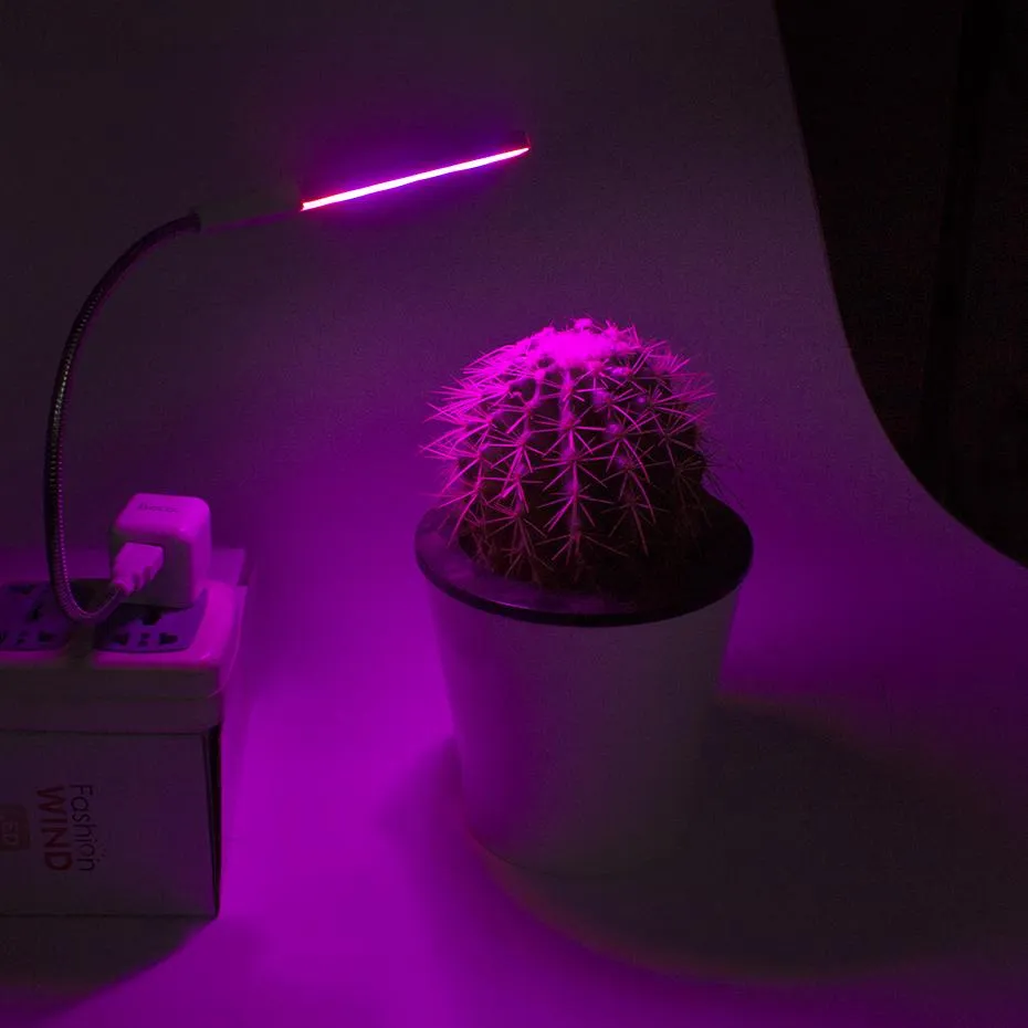 Plant grow light