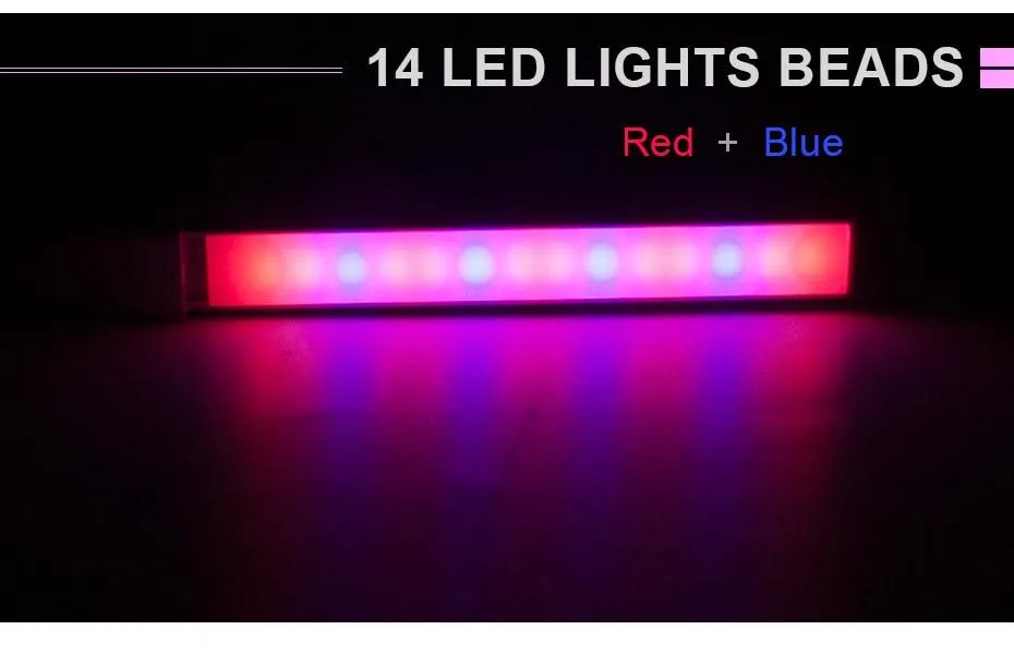Plant grow light