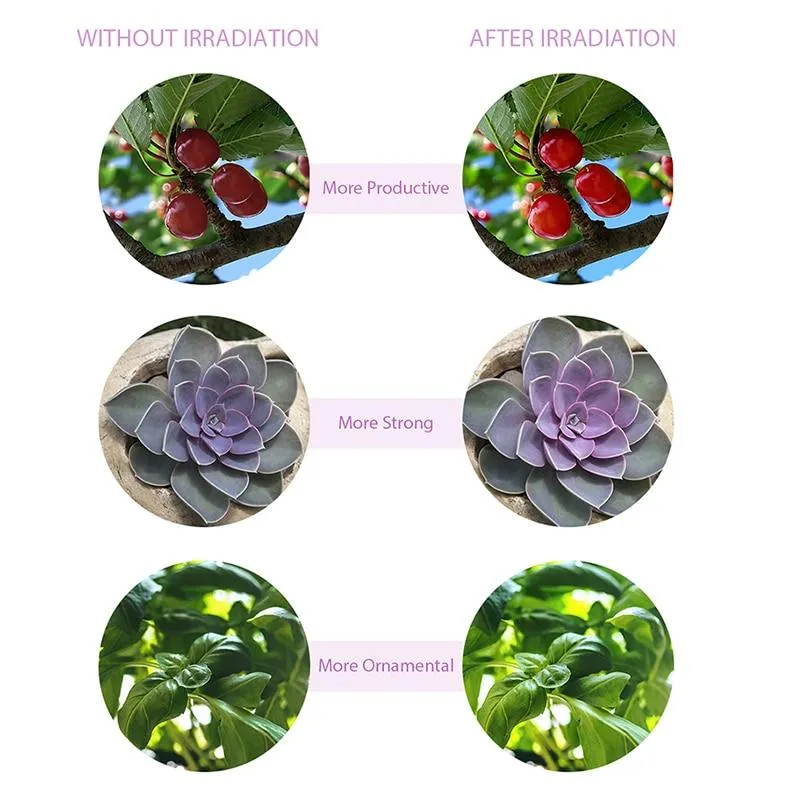 Plant LED Indoor Grow Lights