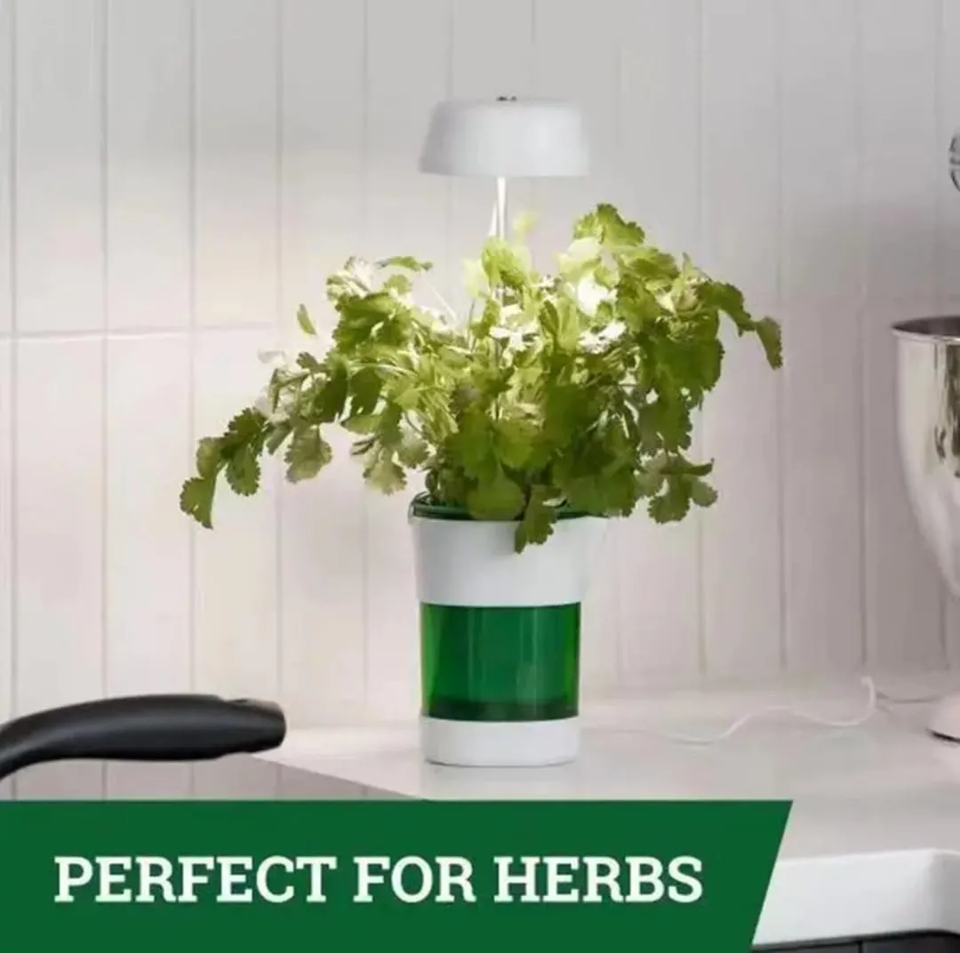 Pot Plant & Grow Light