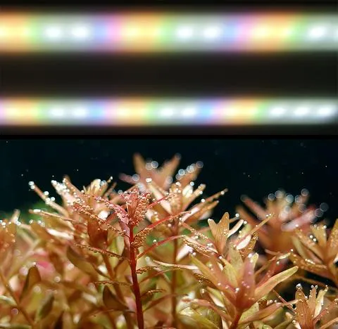 PRO-1 PROFESSIONAL LED LIGHTING SYSTEM