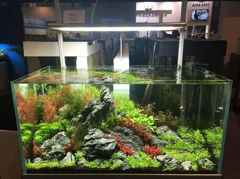 PRO-1 PROFESSIONAL LED LIGHTING SYSTEM