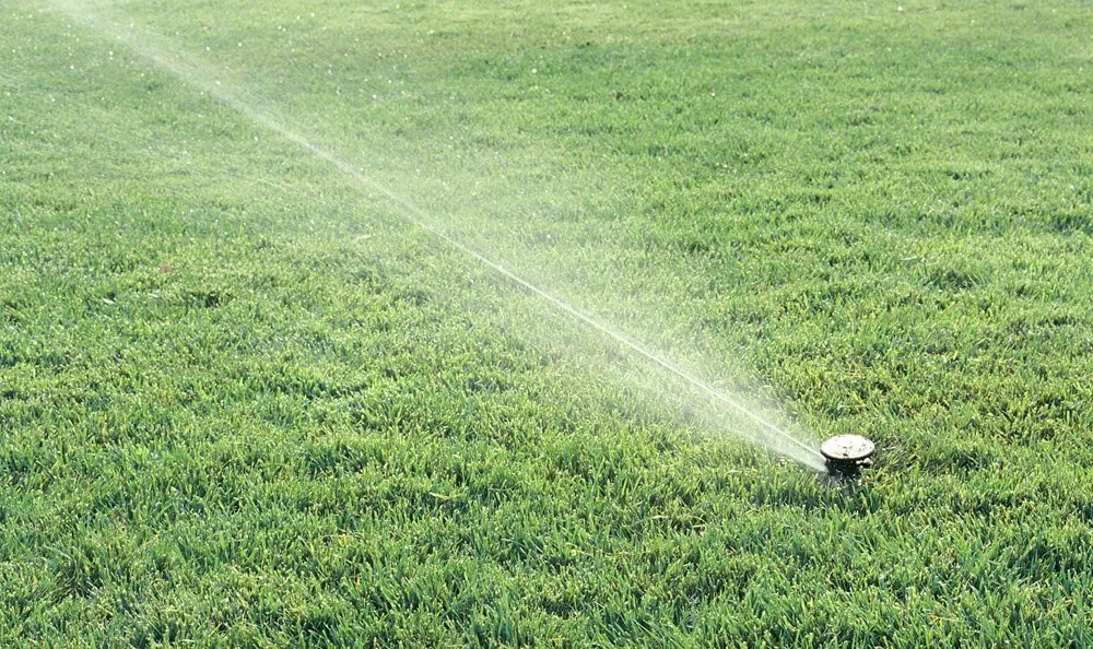 Rain Bird® AG-5 Maxi-Paw Pop-up Impact Rotor Sprinkler with Blue Nozzle, #8