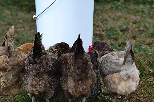 RentACoop Make Your Own Waterer Kit - Horizontal Side Chicken Nipples   Installation Piece