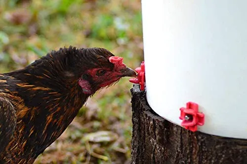RentACoop Make Your Own Waterer Kit - Horizontal Side Chicken Nipples   Installation Piece