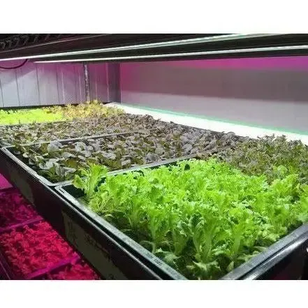 SunBlaster Prism Lens LED Strip Light 6400K 48W, 48"