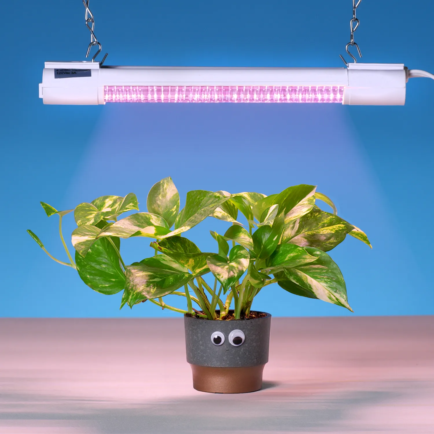 SuncoGrow, LED Grow Light, 1ft, 10W Full Spectrum, Linkable