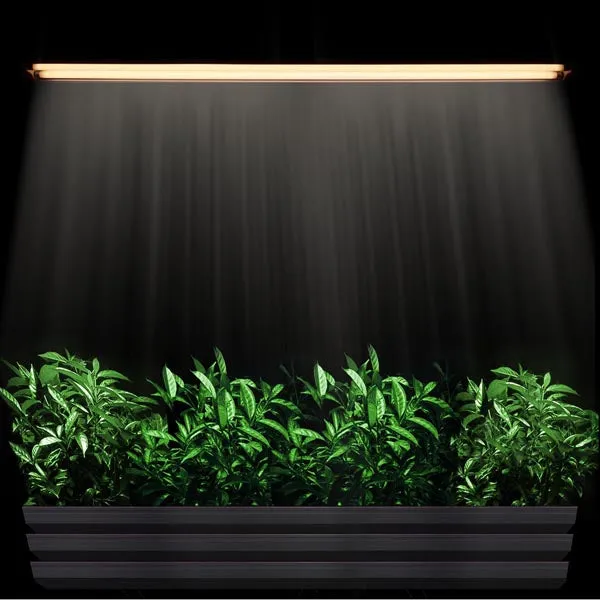 TheLAShop T5 Grow Light 4 foot Fluorescent Grow Light 2-Tube