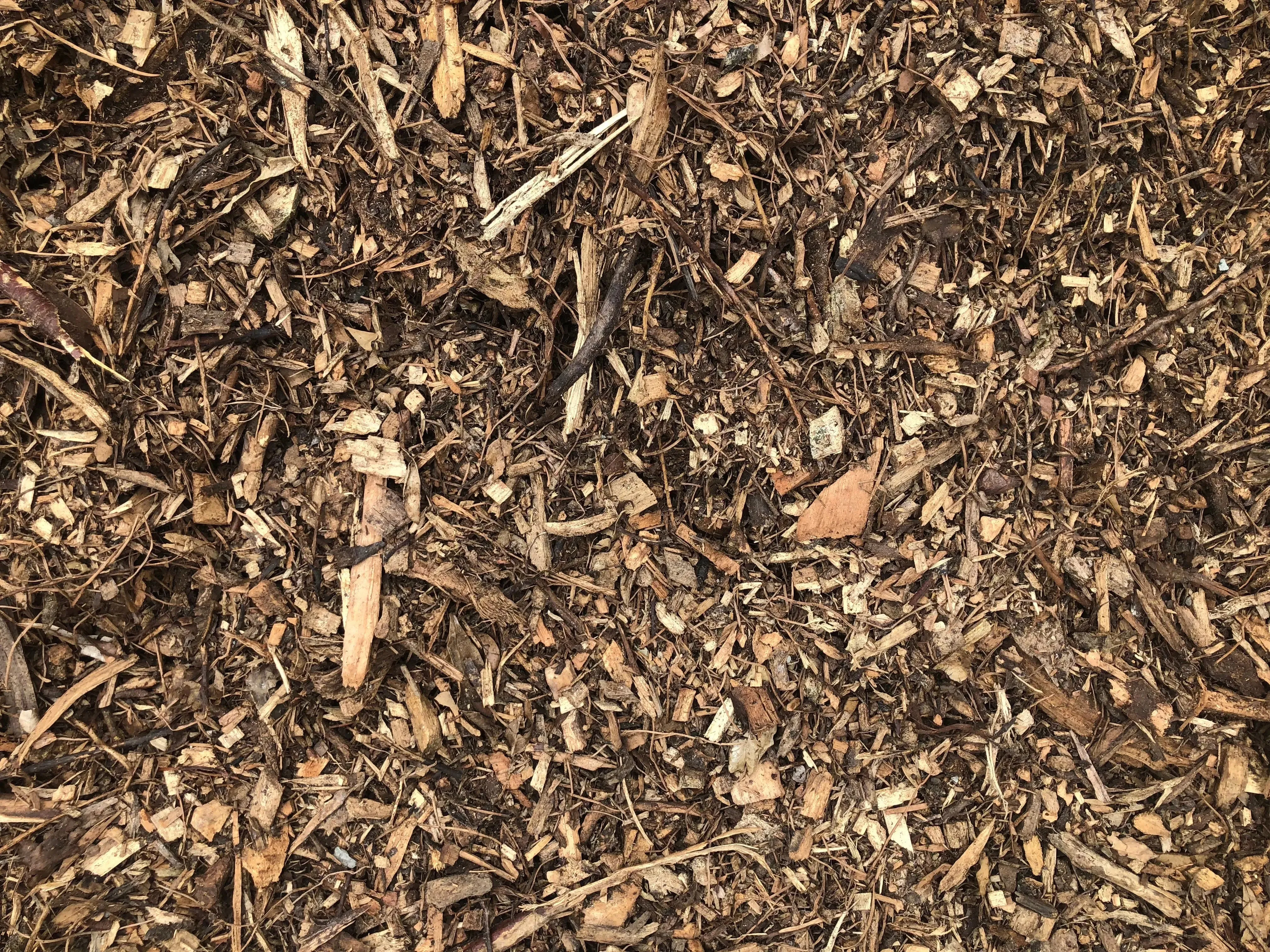Tree Mulch