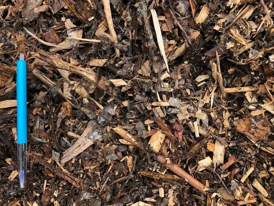 Tree Mulch