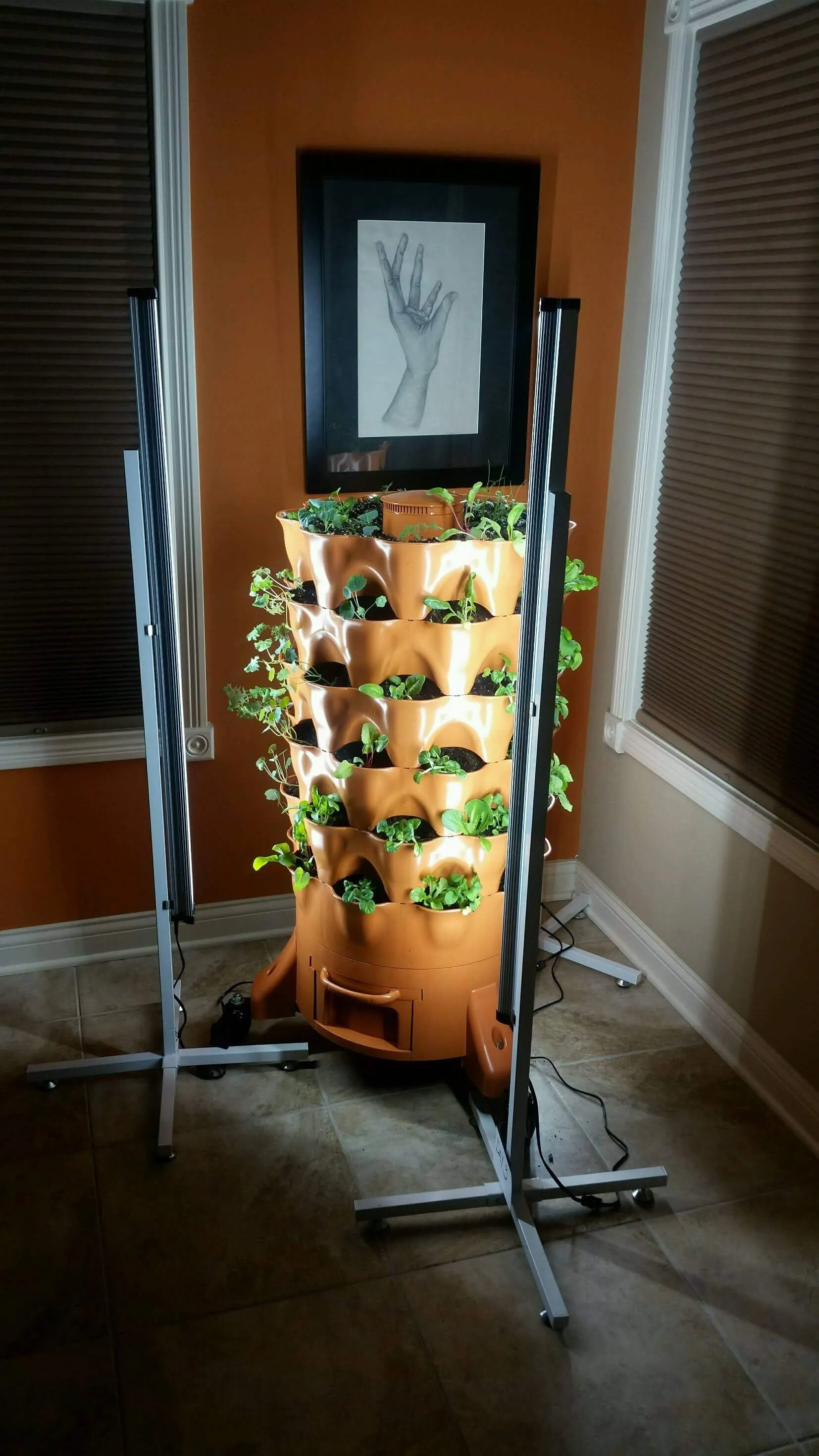 Ultra efficient 80 watt LED Grow Light