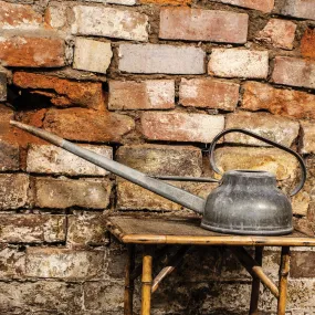 Vintage Long Reach Galvanised 6 Pint Watering Can
